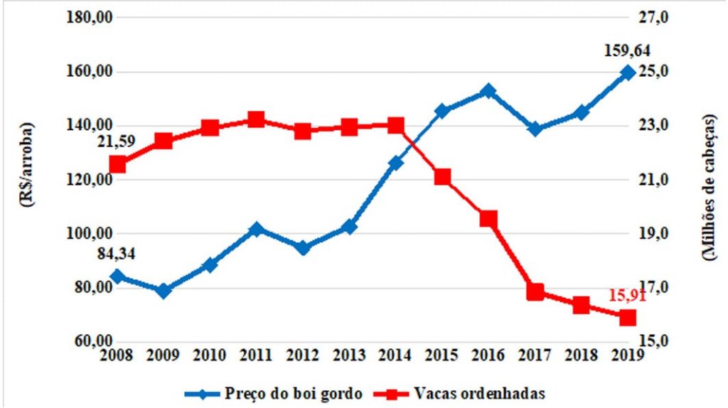 Preço do boi gordo e quantidade de vacas ordenhadas no Brasil