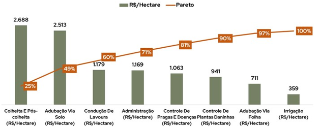 Diagrama de Pareto das propriedades benchmarkings do Mais Inteligência Mais Cacau em 2024