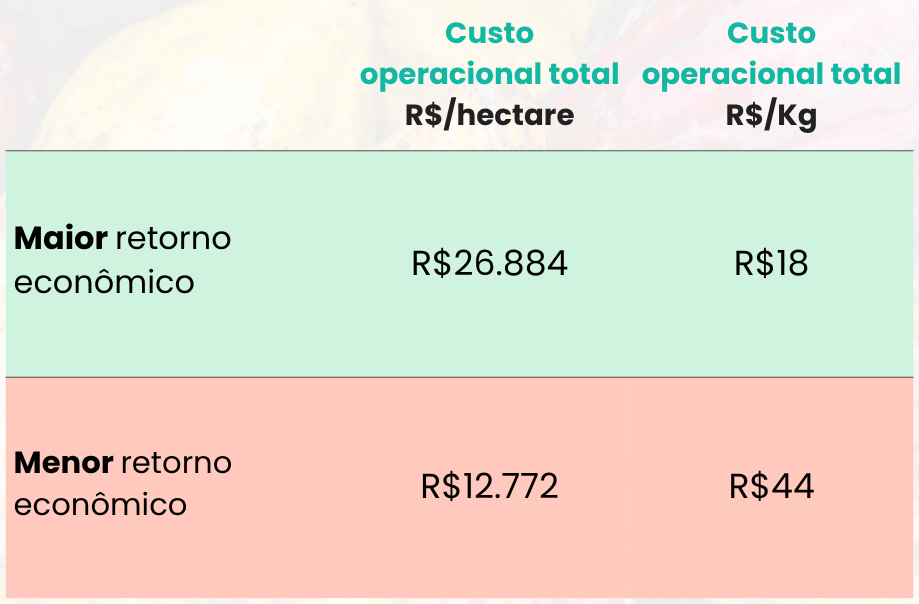 Tabela de dados comparativa das propriedades mais eficientes x as propriedades menos eficientes